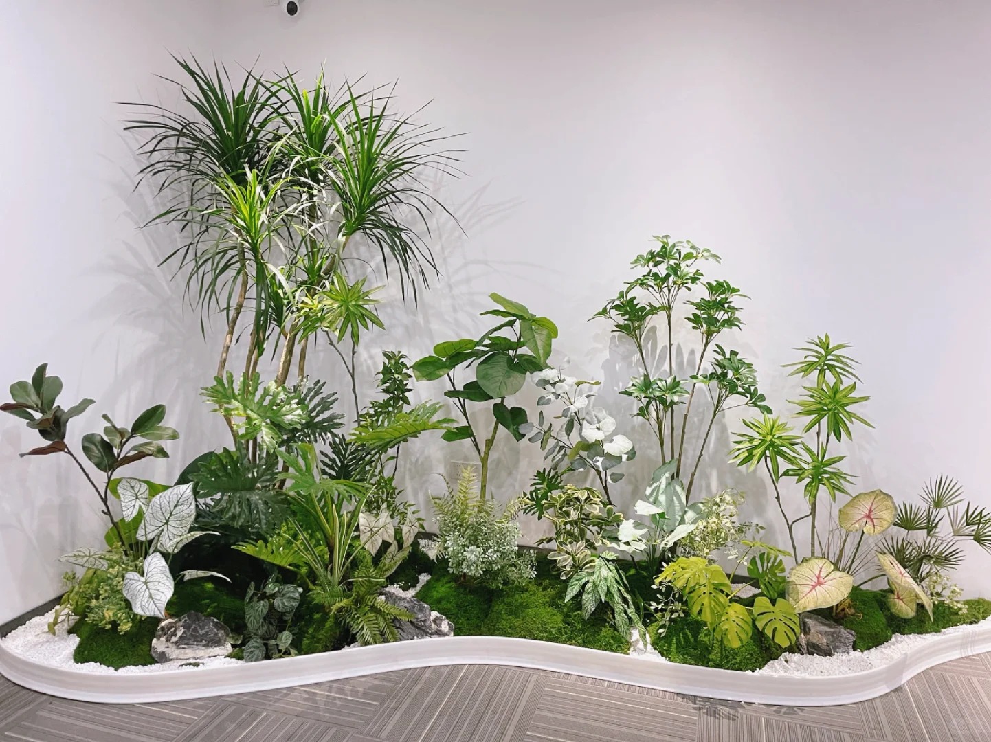 价格超实惠的宁波江北盆景出租，速来预定！